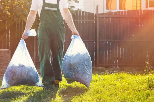 Best Basement Cleanout  in Bethesda, OH